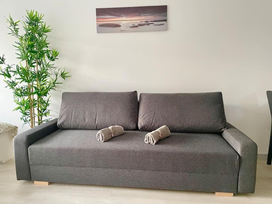 Appartement Stylish Modern Flat With Garden Wenen
